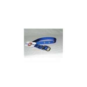  Single Thick Nylon Dog Collar Blue 16 In: Pet Supplies