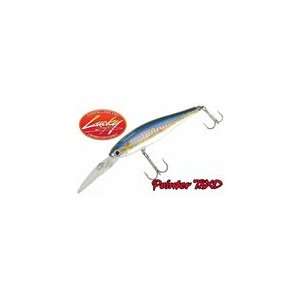  Lucky Craft Pointer 78XD: Sports & Outdoors