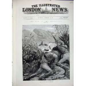  1881 Transvaal War Boers Men Shooting Animals Mountains 