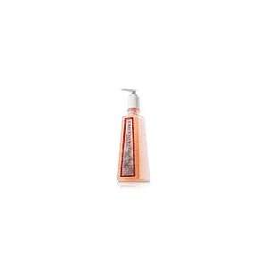  Bath & Body Works Frosted Orange Spice Deep Cleansing Hand 