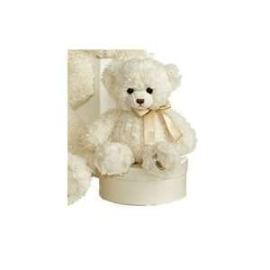  Baby Ashford Bear The 11 Inch Plush Cream Teddy Bear By 
