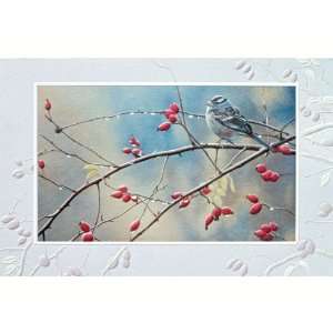   Among the Thorns   Everyday Greeting Cards. Pack of 6: Everything Else
