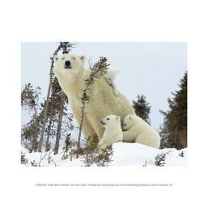  Polar Bear Mother and Her Cubs Poster (10.00 x 8.00)
