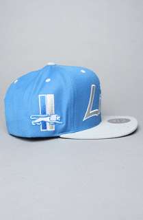 Mitchell & Ness The Detroit Lions Script 2Tone Snapback Cap in Grey 