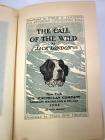 Vintage THE CALL OF THE WILD Jack London 1903 1st Edition Illustrated 