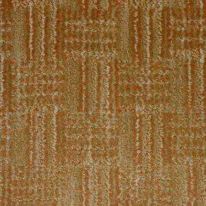   Plus Amazing   Color Sequoia 12 ft. Carpet 5518 421 
