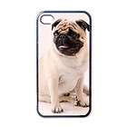 Pug Dog Puppy Puppies #2 Apple iPhone 4 Case Cover