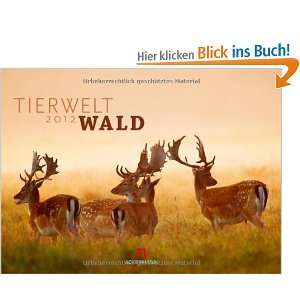 Tierwelt Wald 2012  Bücher