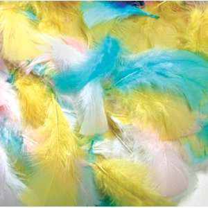 20 Pack CHENILLE KRAFT COMPANY FEATHERS SPRING COLORS 