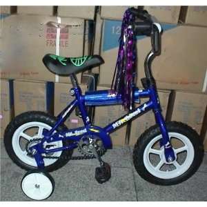 NEW Kids First Bicycle Ride on 1st Bike 12 Wheels BLUE  Toys & Games 