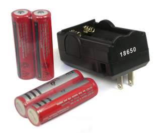   3000mAh 3.7v Protected Rechargeable Battery + Dual Charger  