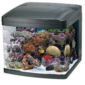  Oceanic 82052 BioCube Aquarium, 29 Gallon: Pet Supplies