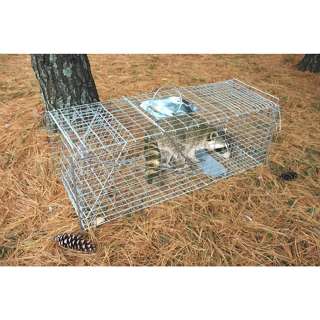 Zinc Live Animal Trap Racoon Skunk Cat Traps Almost 37 Inches Long 