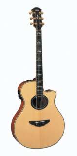 member of the APX family, the APX900 acoustic guitar features top 