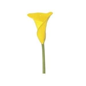   : Conca Dor Yellow Mini Calla Lily   60 Stems: Arts, Crafts & Sewing