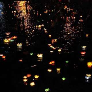 10×8 COLOR FLOWER lotus chinese lanterns wishing floating water light 