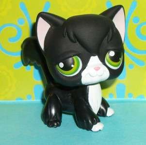 Littlest Pet Shop~#55 BLACK TUXEDO LONG HAIR CAT Green Eyes~R127 LPS 