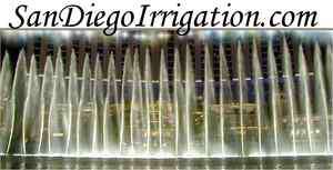 San Diego Irrigation Water Lawns Fix Sprinklers Design Domain Name 