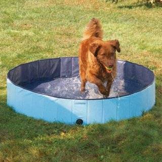  Dog Swimming Pools