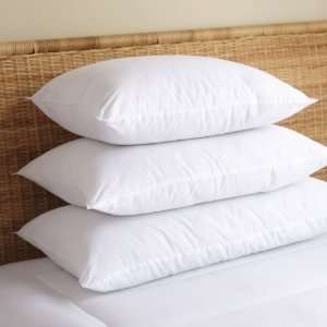    Egyptian Cotton Pillow, Standard Bed Pillow
