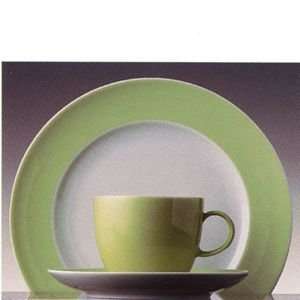    Rosenthal Sunny Day Pastel Green Coffee Saucer: Home & Kitchen