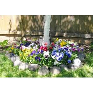   plant and grow. Instant garden mat for flowering bushes. Patio, Lawn