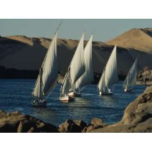  Fleet of Feluccas Parade down the Nile River near Aswan 
