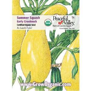  Organic Summer Squash Seed Pack, Early Crookneck Patio 