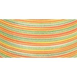  Cotton Multicolor Machine Quilting Thread 225 Yards Citrus 
