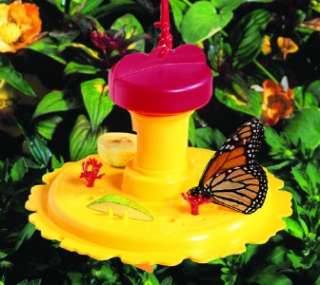 NEW! BUTTERFLY FEEDER / NECTAR COMBO!!  