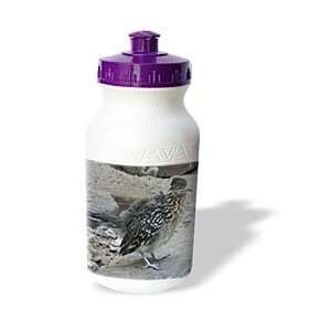   Popp Nature N Wildlife birds   greater road runner   Water Bottles