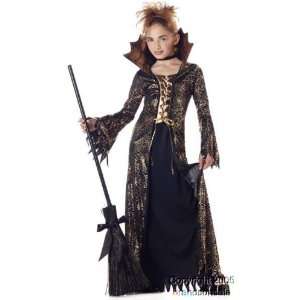 Childs Spider Witch Costume (Size:Large 10 12): Toys 