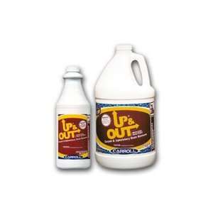    Carroll Up & Out Carpet Stain Remover (289) 4/Case 