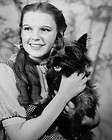 1939 Movie Actress JUDY GARLAND Wizard of Oz Vintage 